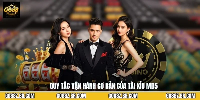 Quy tắc vận hành cơ bản của tài xỉu MD5
